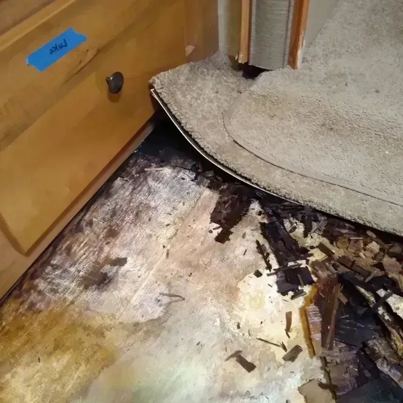 Wood Floor Water Damage in Battlement Mesa, CO